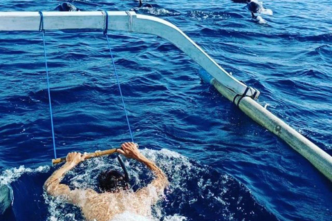 Bali : Observation des dauphins au lever du soleil, baignade et plongée en apnéeTour en bateau privé avec lieu de rendez-vous