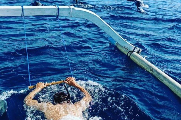 Bali : Observation des dauphins au lever du soleil, baignade et plongée en apnéeTour en bateau privé avec lieu de rendez-vous