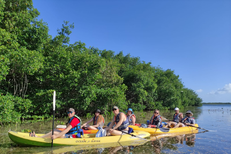 Cancun: excursion de 3 heures en kayak dans la lagune de Nichupte