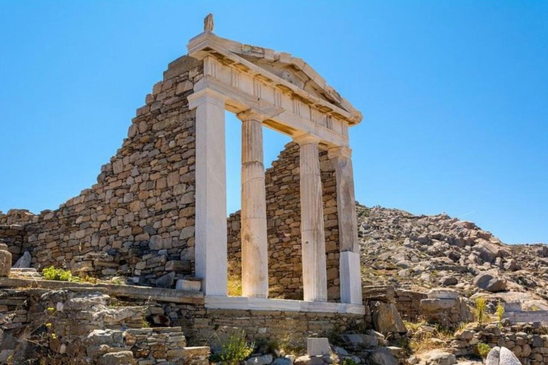 Croisière d'une journée à Delos et Mykonos au départ de Naxos