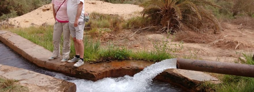 Le Caire : 3 jours d'aventure privée à Siwa, El-Alamein et Safari.