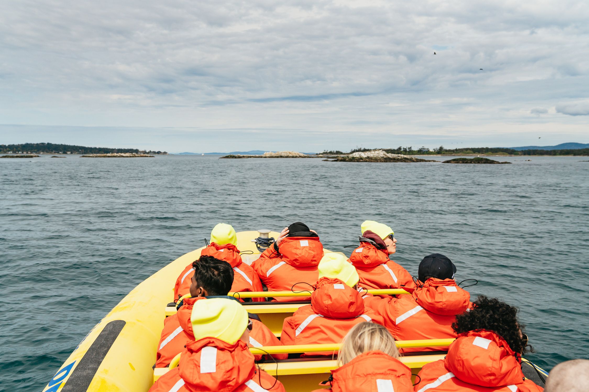 Victoria: Walbeobachtungstour in einem Zodiac-Boot