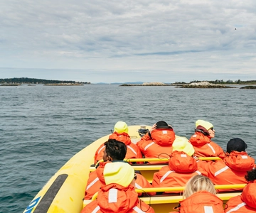 Victoria: 3-Hour Whale Watching Adventure in a Zodiac Boat