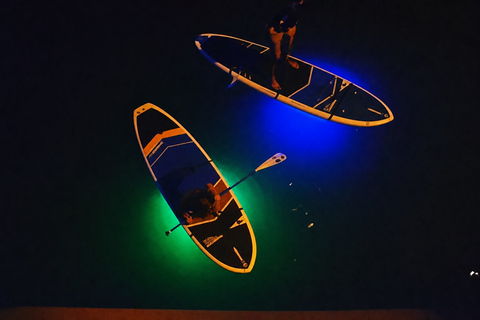 Florida: LED Night Kayak Tour with Comb Jellies Group Tandem Clear Bottom Night Tour