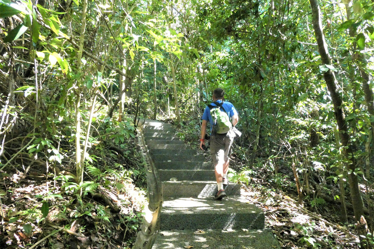 Manuel Antonio: Lekcje surfingu dla każdego - Kostaryka