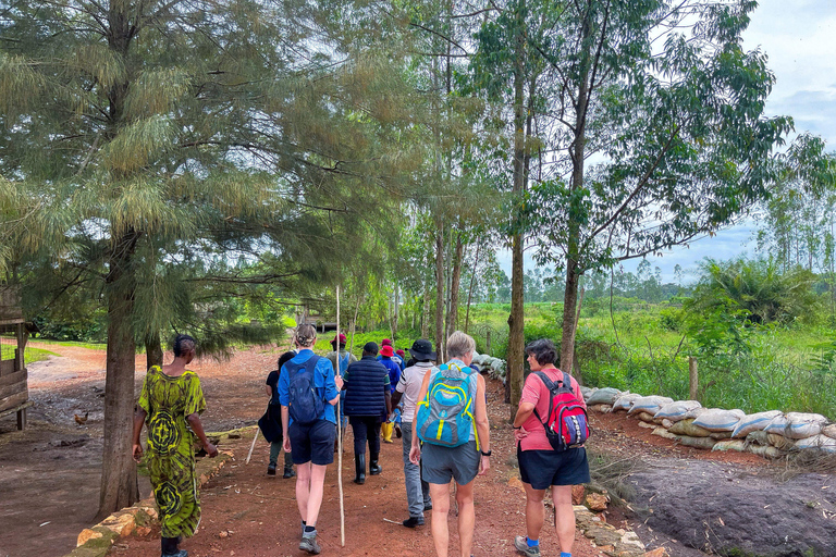 Zorobwe: Coffee Farm Tour with Cupping Session And Lunch