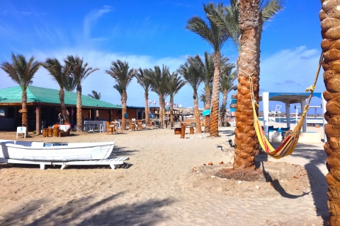 Z Hurghady: Snorkeling w Abu Dabbab z transferem