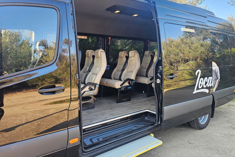 Yarra Valley Day Tour with Redwoods, Wine and Wildlife Wildlife Tour Option