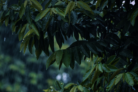 Kathmandu: Monsoon Magic! Eat, Explore, Capture the Rain