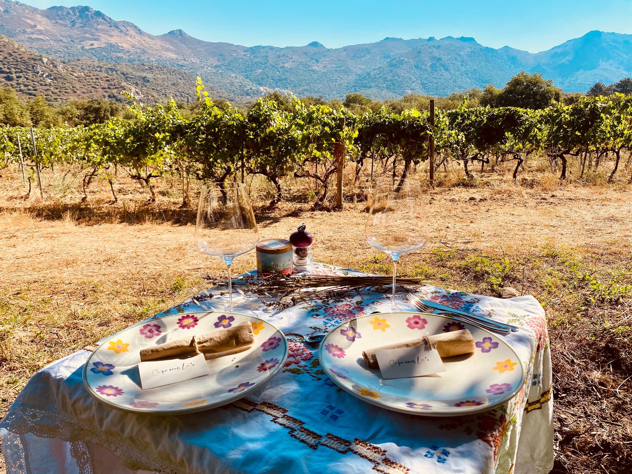 Weinprobe in der Umgebung von Calvi & Île-Rousse