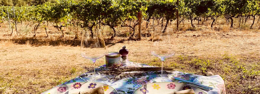 Dégustations de vin autour de Calvi et de l'Île-Rousse