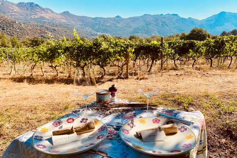 Private wine tastings around vineyards