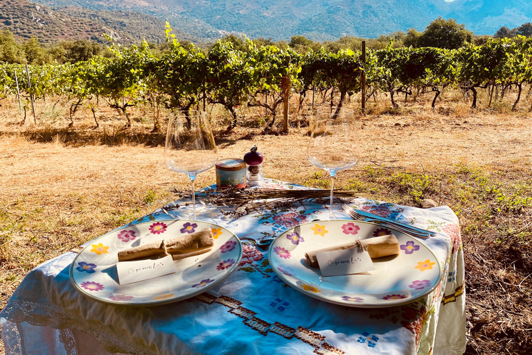 Private wine tastings around vineyards