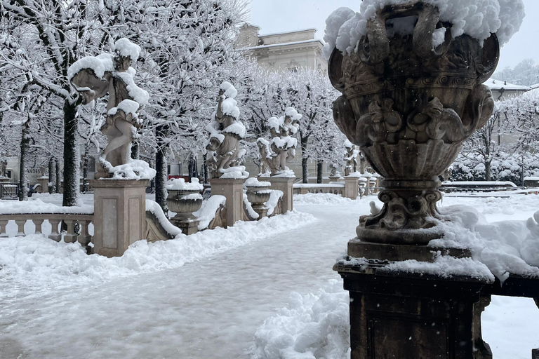 从维也纳到萨尔茨堡的奇妙冬季一日旅行英语之旅