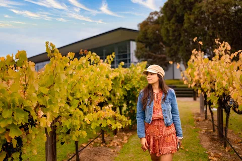 Adelaide: Barossa and Adelaide Hills Tour with Lunch