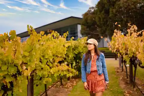 Adelaide: Barossa and Adelaide Hills Tour with Lunch