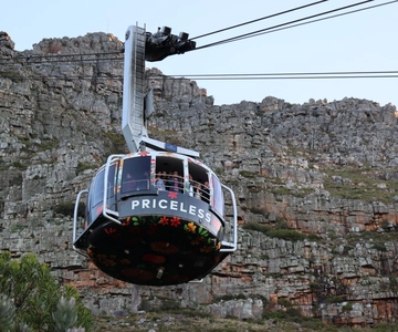 Cape Town: Cape Peninsula & Table Mountain Private Day Trip