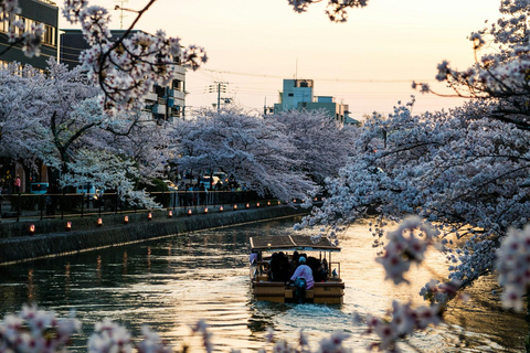 KYOTO/NARA/OSAKA Privat skräddarsydd resa med engelsk guide