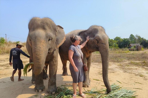 Kambodscha Elefantenheiligtum und Banteay Srey Tempel Tour