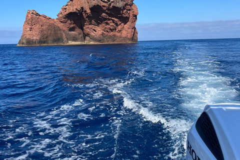 De Cargèse : Le grand tour du Golfe