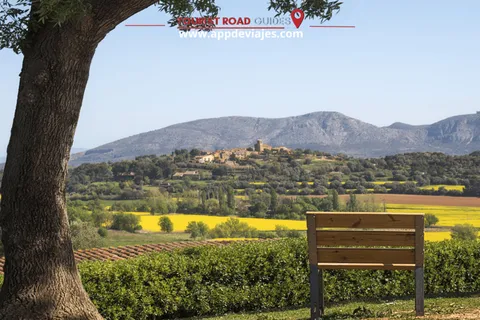 Barcelone : Visite privée Besalu, Dalí et dégustation de vins