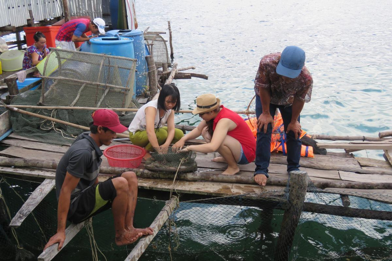 Phu Quoc: Cua Can Kayaking, Starfish Beach & Fishing Village Private Tour/ Flexible Time/ Private Guide