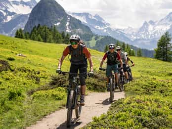 Courmayeur: Tour guiado en E-Bike Val Veny, Val Ferret