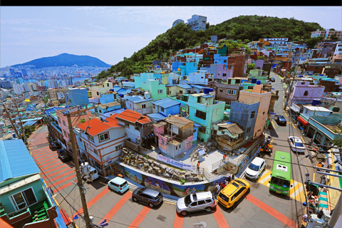 Busan Untold: War History, Hillside Villages & Songdo Cable Shared Group Tour, Depart from Busan Subway Station Exit 3