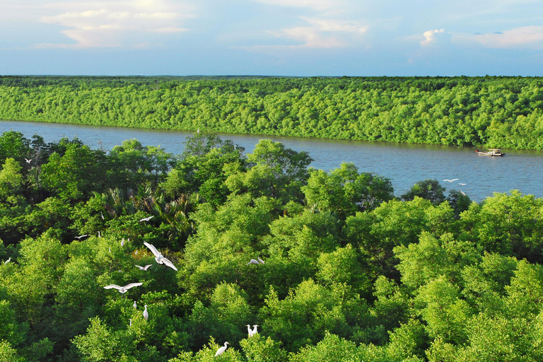 Ho Chi Minh: Can Gio Mangrove Biosphere Reserve 1 Day Tour