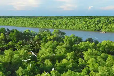 ÖKO TOUR AB HO CHI MINH: MANGROVENWALD CAN GIO