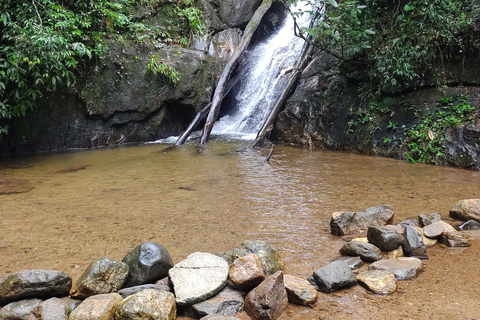 Watervallen en grottenpad in het Tijuca bos