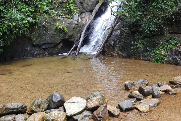 Sendero de las Cascadas y Cuevas en la Selva de TijucaSendero de las Cascadas y Grutas en la Selva de Tijuca