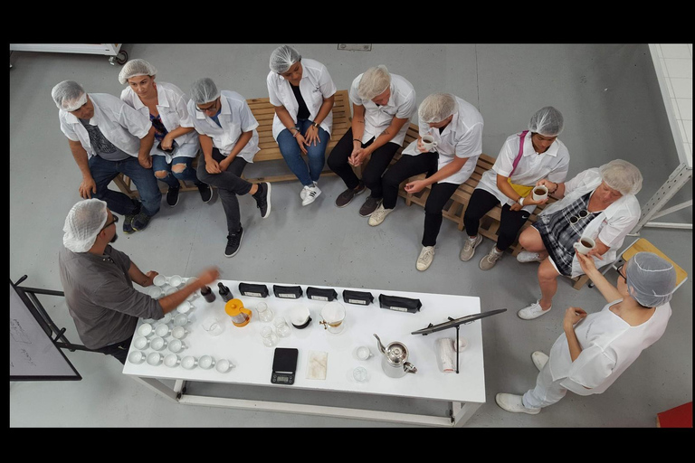 Medellín: Coffee Farm Tour with Tasting Experience