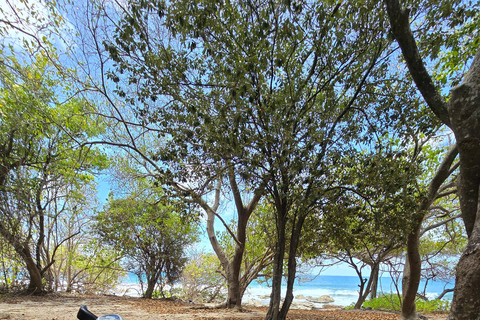 Explore Pointe des Châteaux on an electric bike