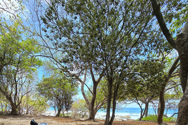 Explore Pointe des Châteaux on an electric bike