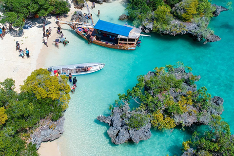 Kizimkazi: Pungume Island Full-Day Tour with Lunch