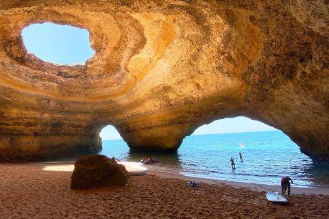 Albufeira: Benagil Caves & Dolphin Watching Speed Boat Tour