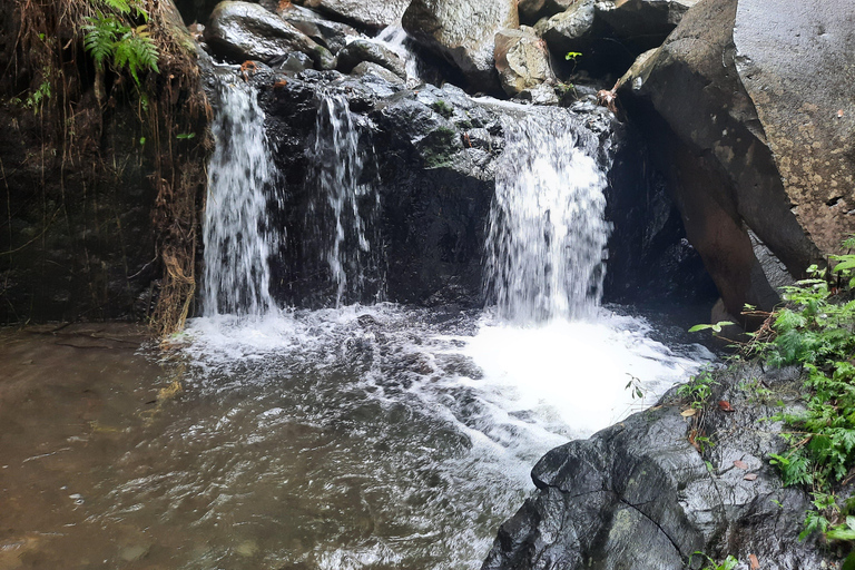 Island Tours: St. Vincent & the Grenadines - Dark View Falls