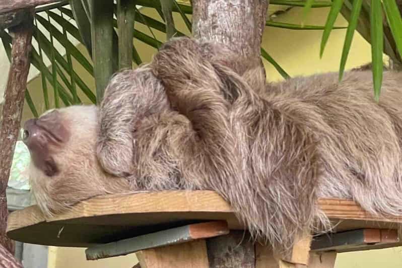 Galería de fotos para redes