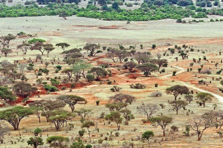 Desde Mombasa:safari de 5 días por Tsavo Este, Oeste y Saltlick Lodge