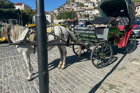 From Tirana: Berat Exploring Tour, Belshi Lake & Agrotourism