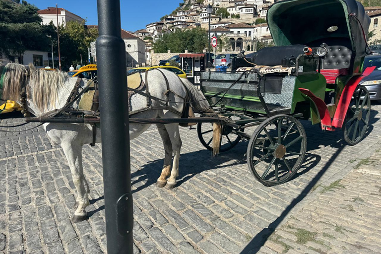 From Tirana: Berat Exploring Tour, Belshi Lake & Agrotourism