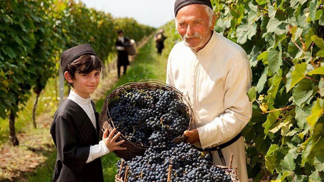 Authentisches georgisches Rtveli in Kachetien ab Tiflis