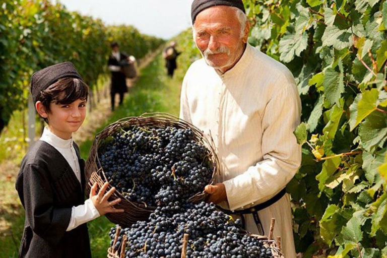 Authentic Georgian Rtveli in Kakheti from Tbilisi
