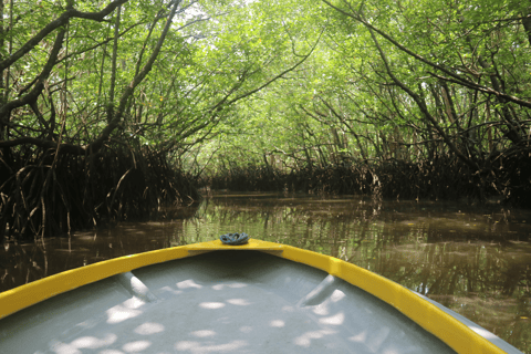 Mangrove Day Tour - Bintan Fireflies Night Tour - Bintan