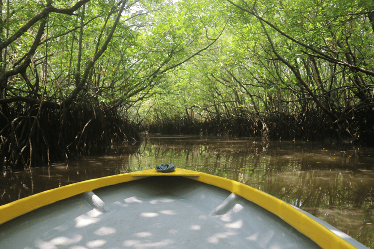 Mangrove Day Tour - Bintan Fireflies Night Tour - Bintan