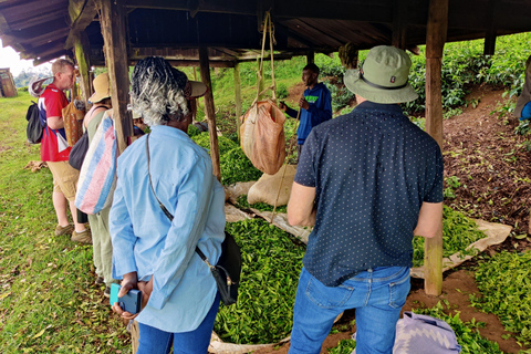 Nairobi: 1-dniowa wycieczka na farmę herbaty Teagoni