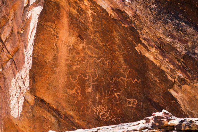 Las Vegas- Offroad Experience Wildlife, Ghost Towns and moreAventure tout-terrain dans le désert Secrets de l&#039;ancien Ouest, vie sauvage