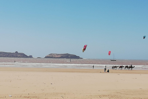 Passeio de um dia pela cidade de Essaouira saindo de Marrakech