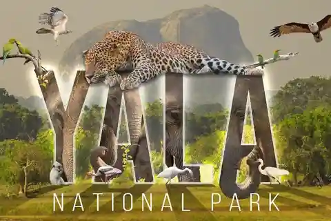 "Yala National Park Safari-Half-Day Safari Guided Adventure"